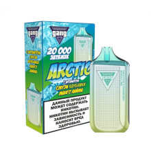 GANG Arctic 20000 ORIGINAL (Мороженое с голубикой)